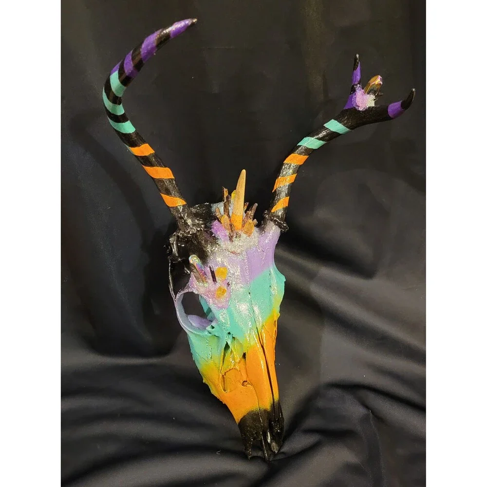 Deer Skull Oddity with crystals. Real animal skulls, Painted Animal Skull, Taxid